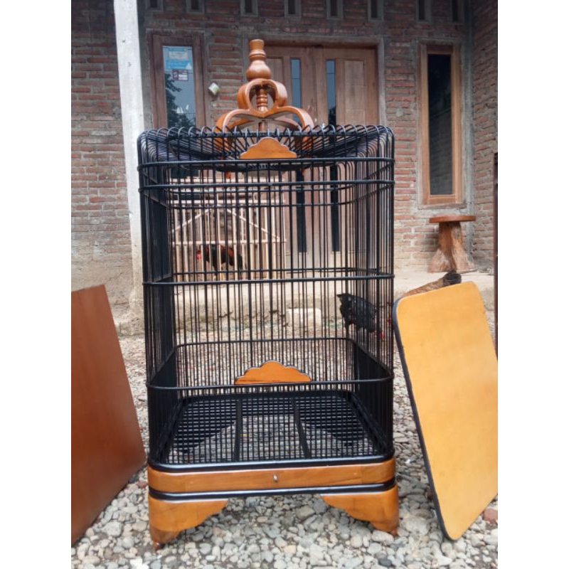 Sangkar Oval Non tiang Murai Borneo sangkar burung