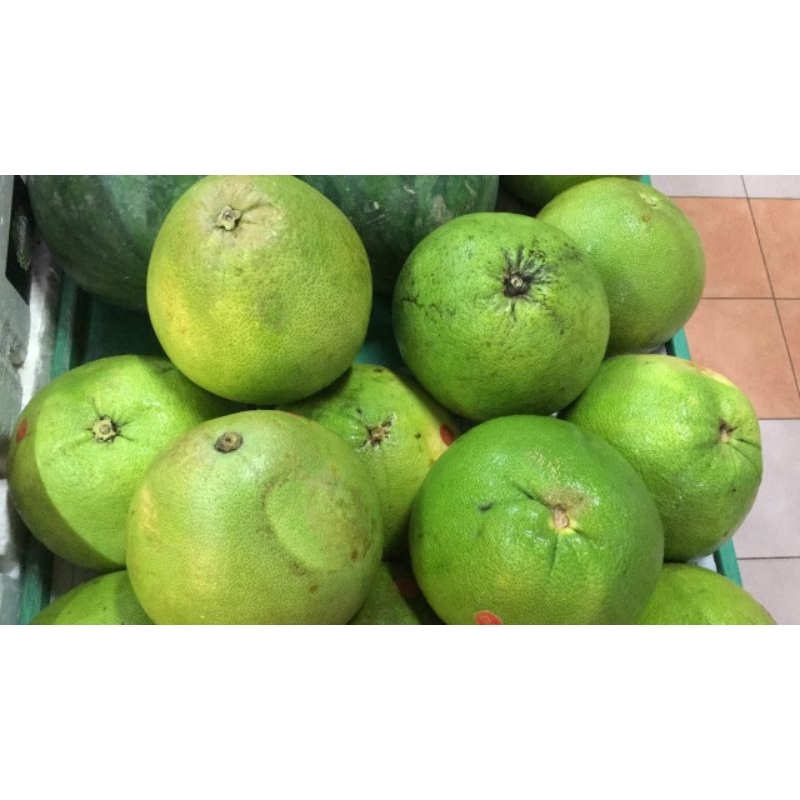 

jeruk bali madu / jeruk pomelo