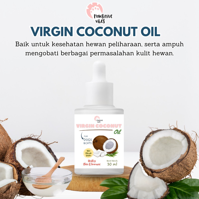 Pawsitive Vibes Virgin Coconut Oil Kucing Anjing - Vitamin Hewan Anti Jamur Scabies dan Bulu Halus -