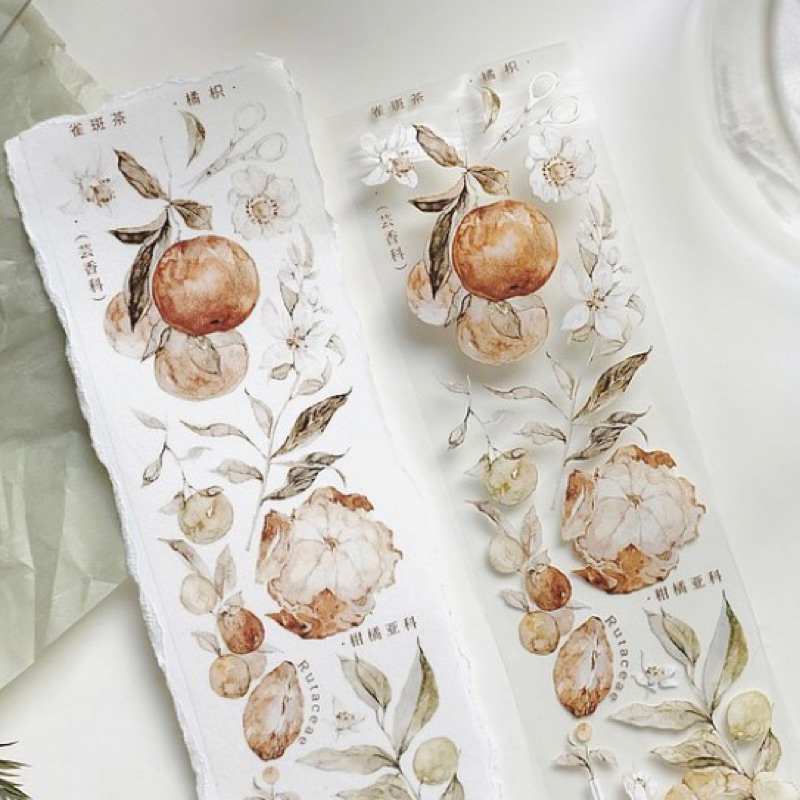 

[Sample] Freckles Tea Tangerine Orange Washi and PET Tape