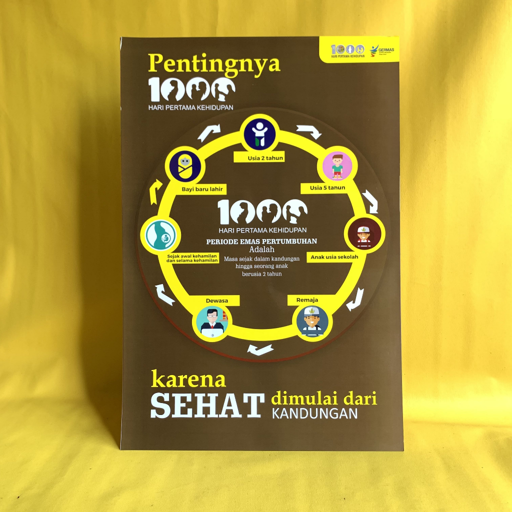 Poster Kebidanan | Poster Pentingnya 1000 Hari Pertama Kehidupan |  Poster Sehat Dimulai Dari Kandun