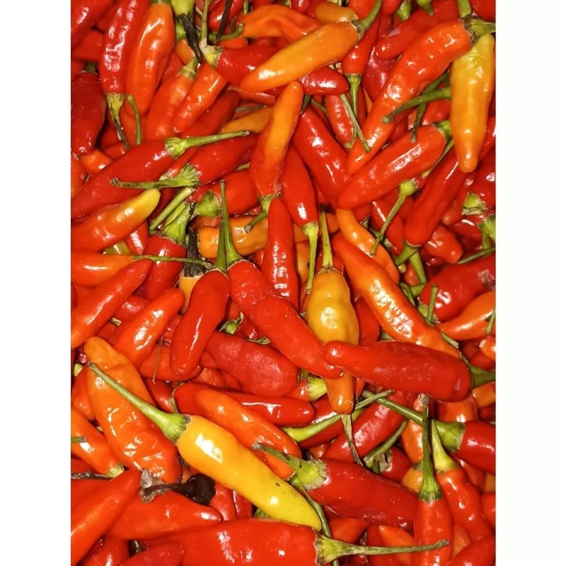 

cabai / cabe rawit merah 250 gram - KIRIM INSTAN