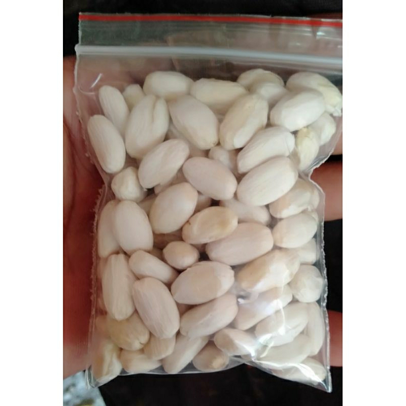 Biji Jarak Umpan Harian Mancing Bawal 100 Biji