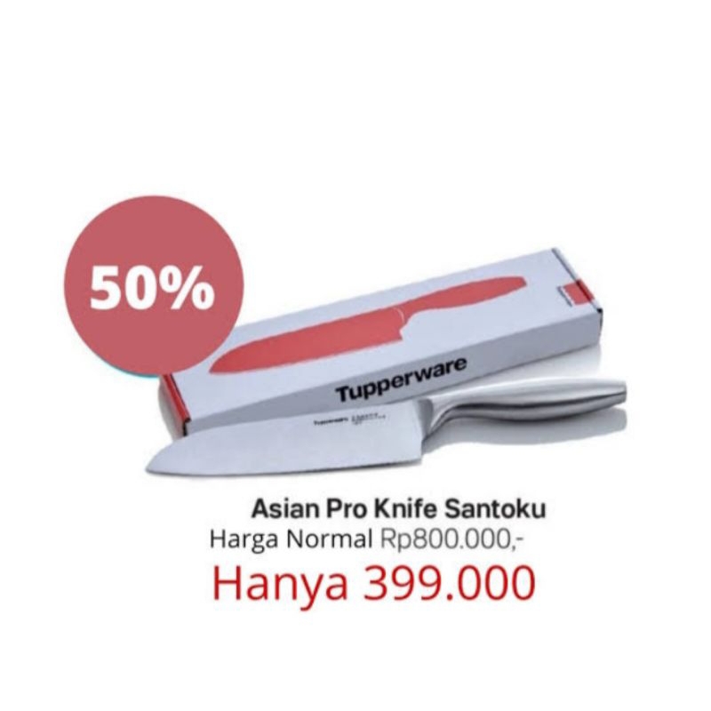 Asian pro knife santoku pisau