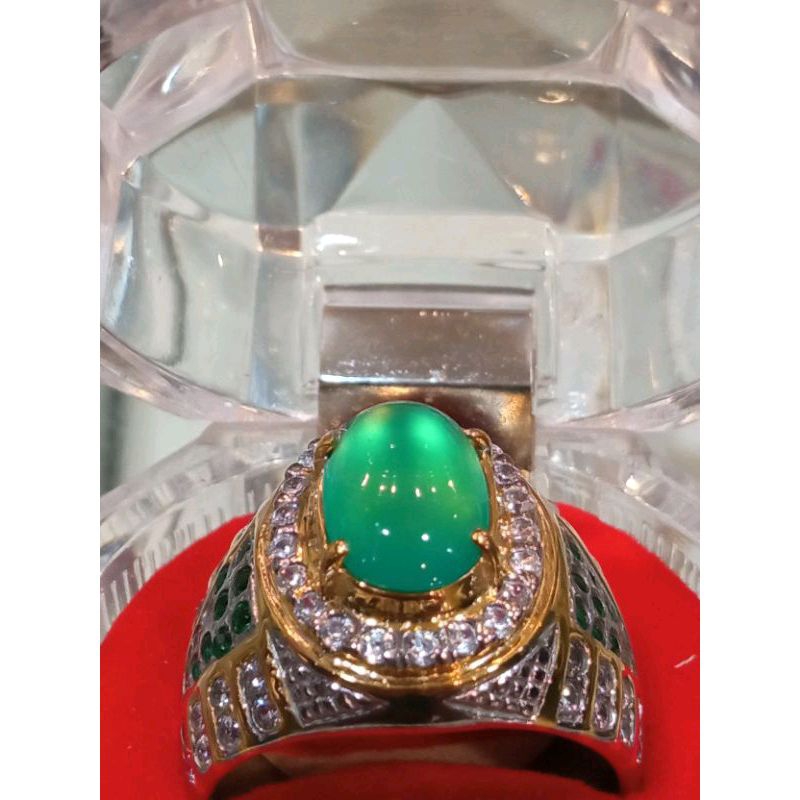 BACAN PALAMEA giwang