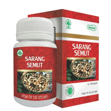 

Obat herbal sarang semut 700gr asli
