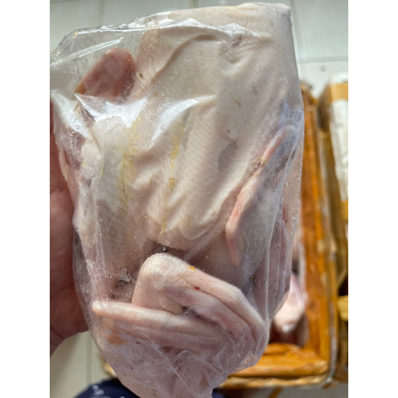

DAGING BEBEK / BEBEK PEKING UKURAN 0,9 KG - 1,9 KG