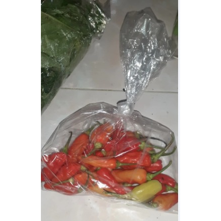 

Cabe Rawit Cabai Kecil Rawit Merah 100gr