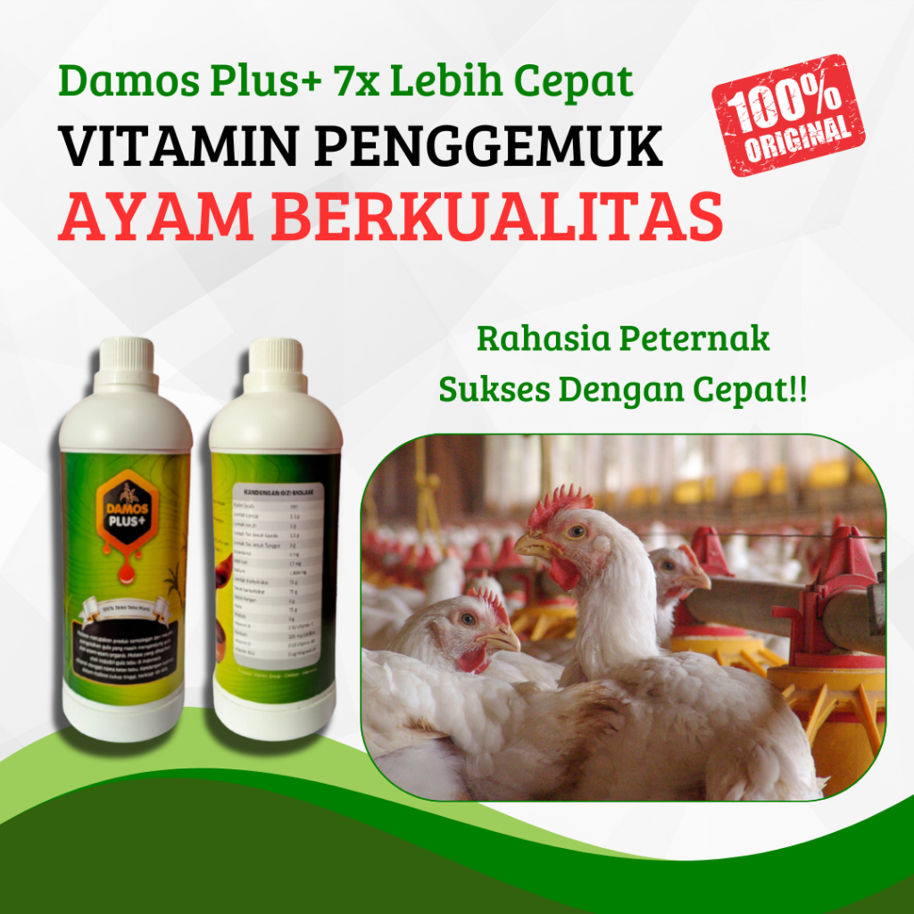 Damos Plus Ayam Penggemuk Vitamin Super Penambah Nafsu Makan Ayam Obat Cacing Ayam Cair Terbaik Mola