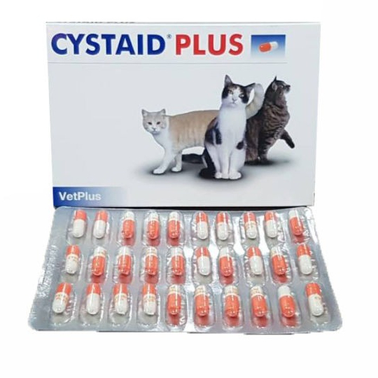 bzz petshop - Cystaid Plus CystaidPlus Kapsul Obat Gangguan Saluran Kencing Kucing