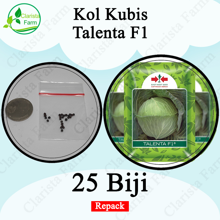 Benih Bibit Kol atau Kubis Talenta F1 Repack Cap Panah Merah