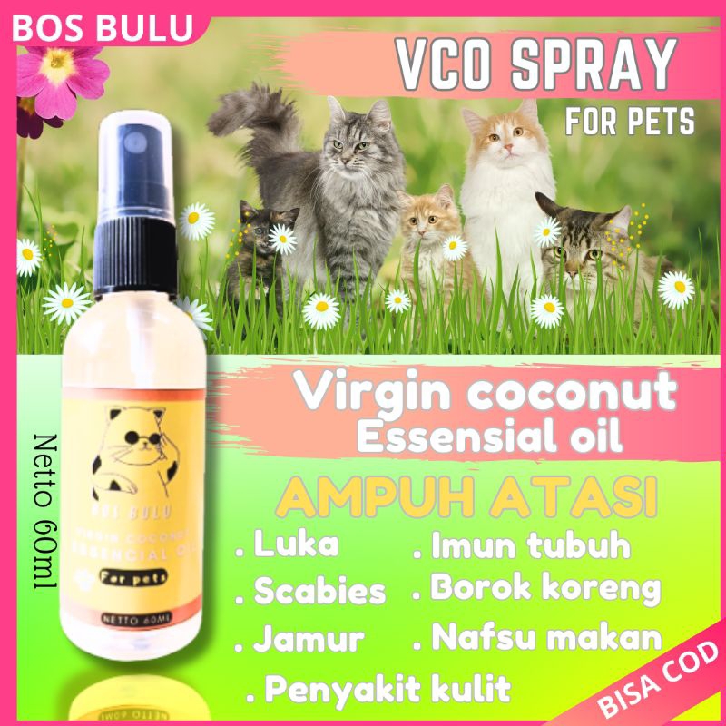 minyak vco virgin coconut eseencial oil spray untuk jamur cacing scabies penyakit kulit nafsu makan 