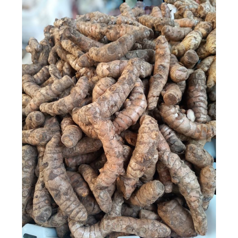 

kunyit sayur super besar 500gr
