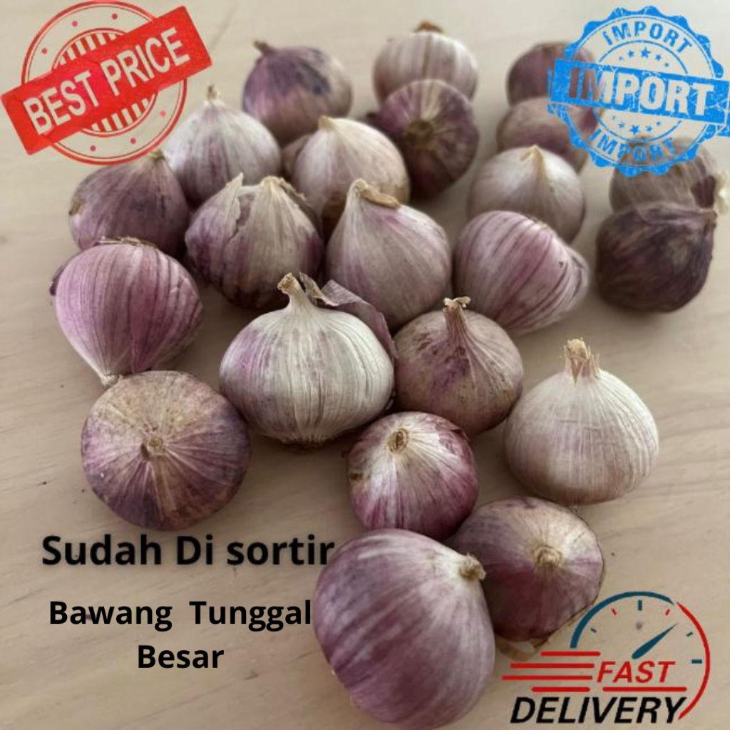 

BAWANG TUNGGAL BESAR 500 GRAM