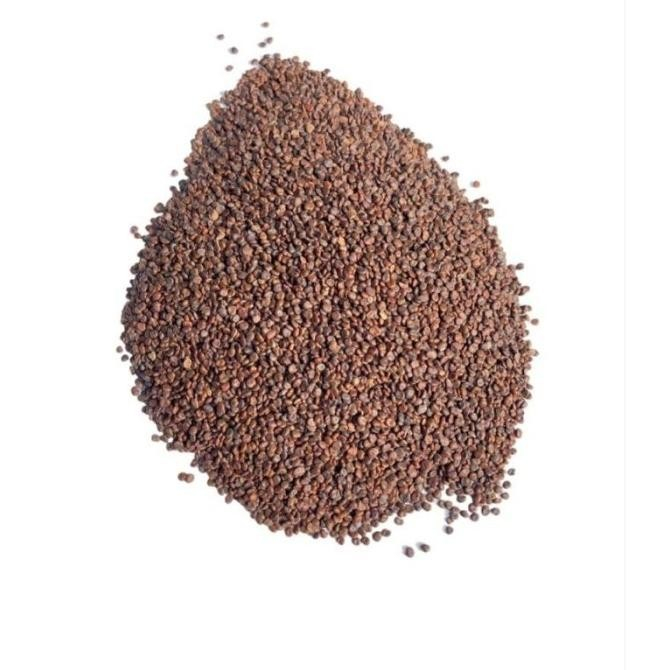 

[100gram] Sha Yuan Zi / Astragalus Seed - Semen Astragali