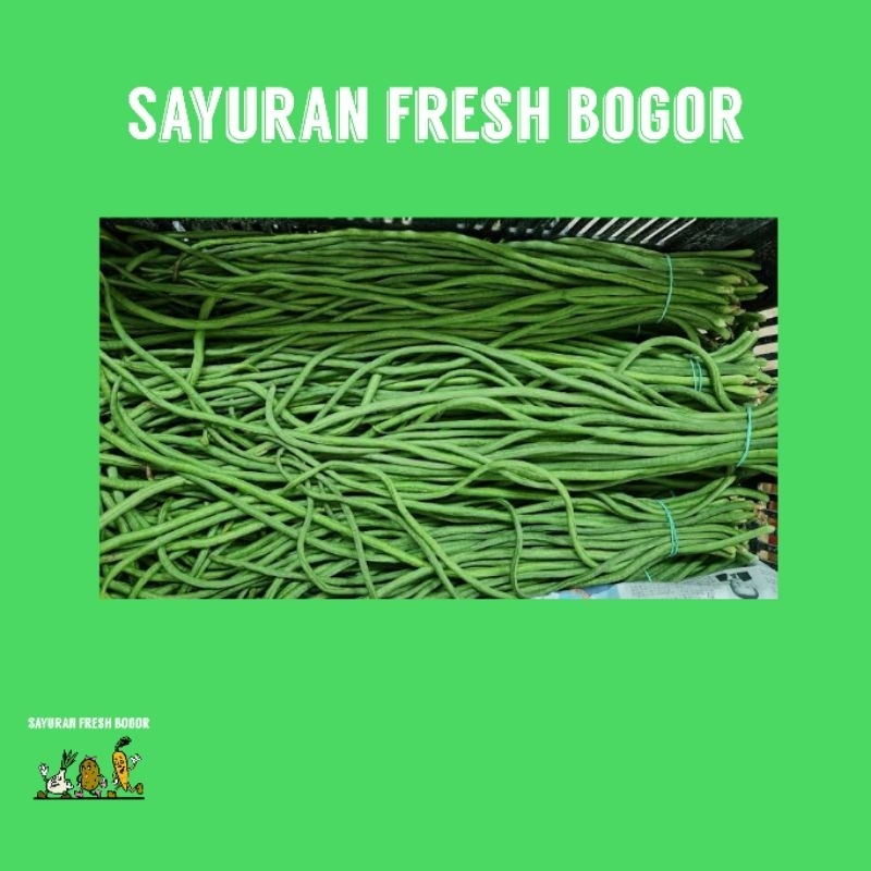 

Kacang Panjang Segar ( 500 Gram ) | Sayuran Fresh Bogor