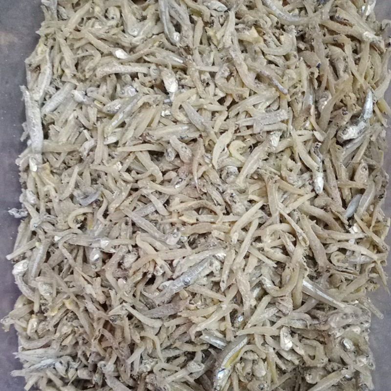 

Ikan teri kecil/ikan teri kalimantan/teri kalimantan