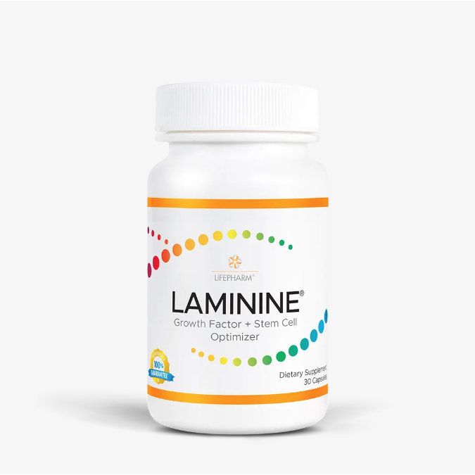 Laminine Stemcell Ori Laminine Stemcell Isi 30 Kapsul Suplemen Kesehatan Original Lifepharm USA Lami