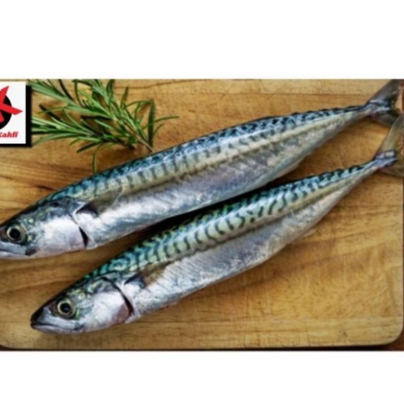 

IKAN SALEM SARDEN Berkualitas GRADE A_1Kg / ANEKA IKAN SEGAR / IKAN LAUT SEGAR / SEAFOOD / ANEKA MAKANAN IKAN LAUT