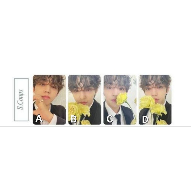 Photocard FML Carver Scoups