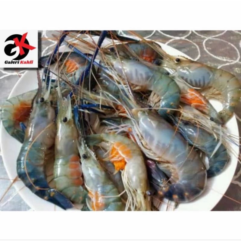 

UDANG GALAH FRESH Berkualitas GRADE A Isi 10-20 1KG / SEAFOOD SEGAR / ANEKA MAKANAN LAUT SEGAR / ANEKA UDANG BESAR SEGAR