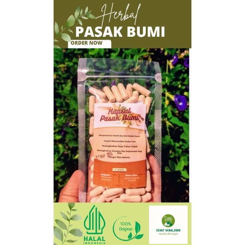 kapsul herbal pasak bumi 100% asli