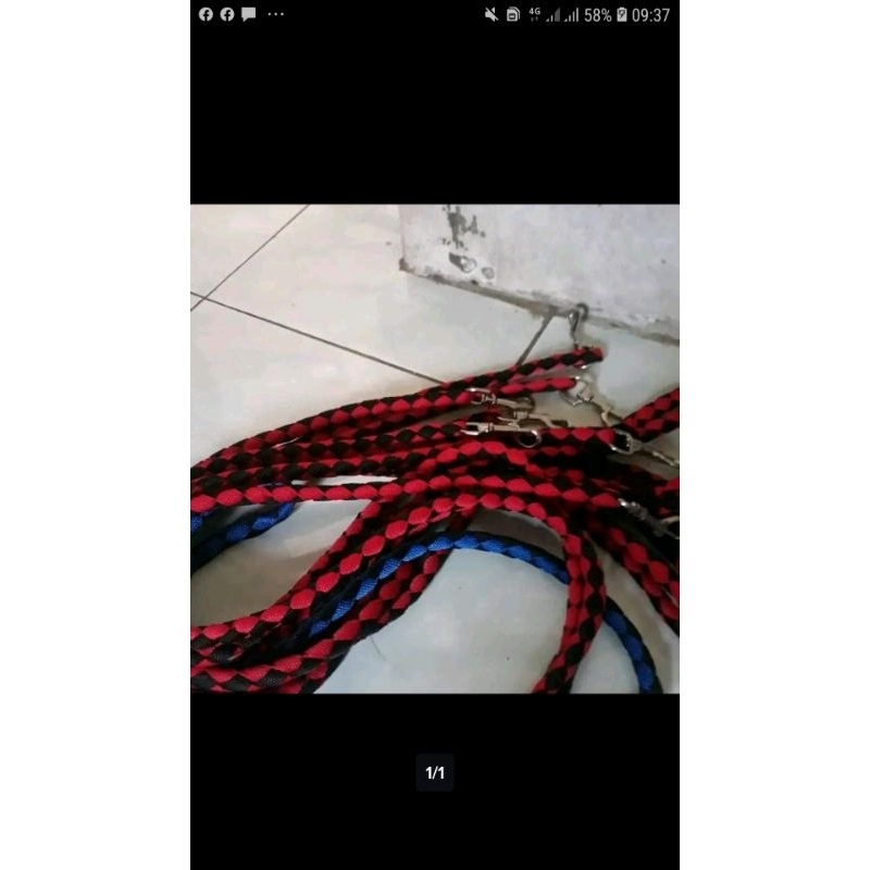 Tali  tuntun kambing anjing domba