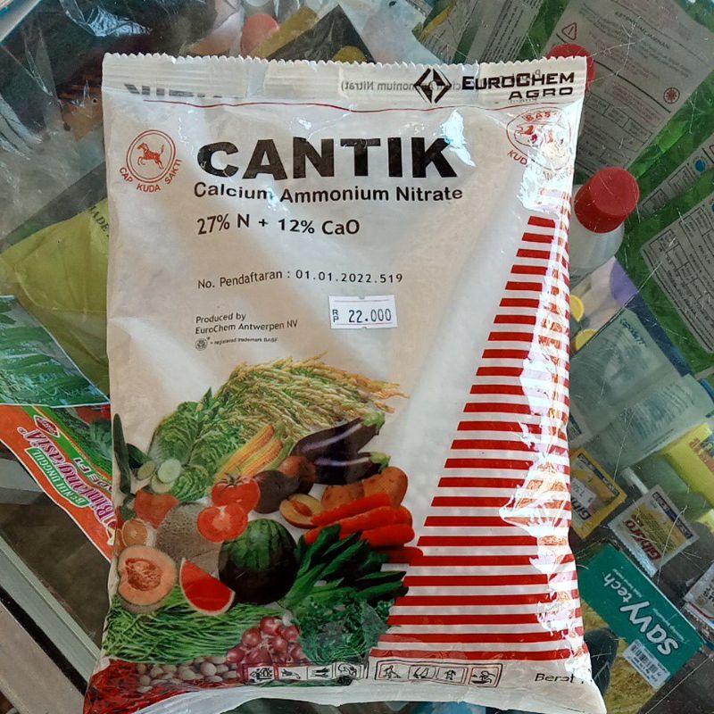 PUPUK CANTIK