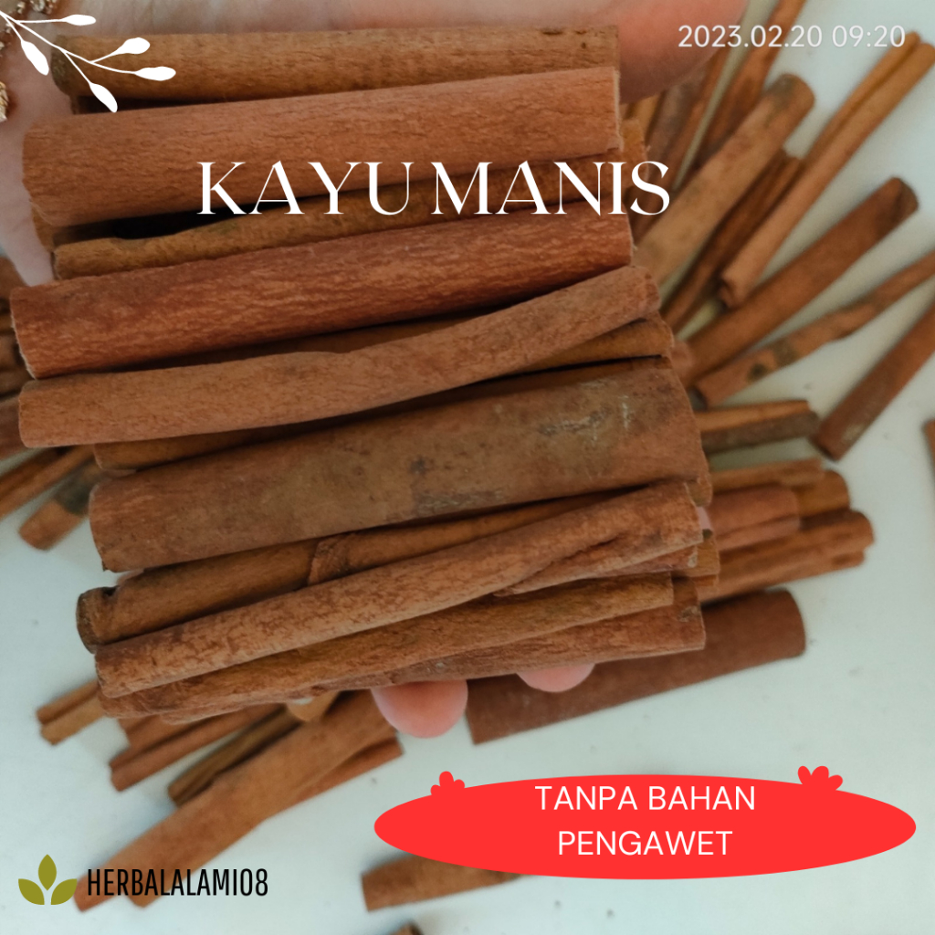 

KAYU MANIS PILIHAN KUALITAS PREMIUM SIAP PAKAI