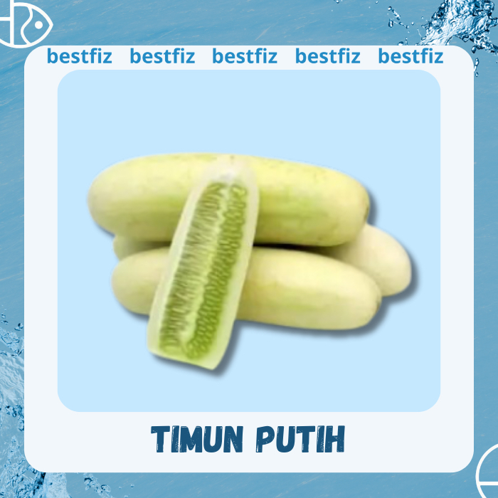 

Timun Putih