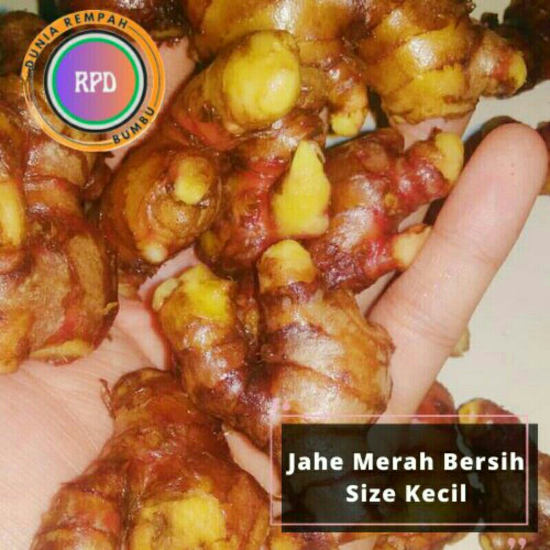 

jahe merah cuci 1kg/Jahe merah cuci bersih 1kg/Jahe merah cuci kecil