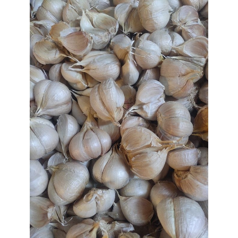 

BawangPutihKatingSuper