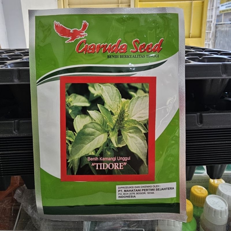 benih cemangi kemangi tidore 5 gram
