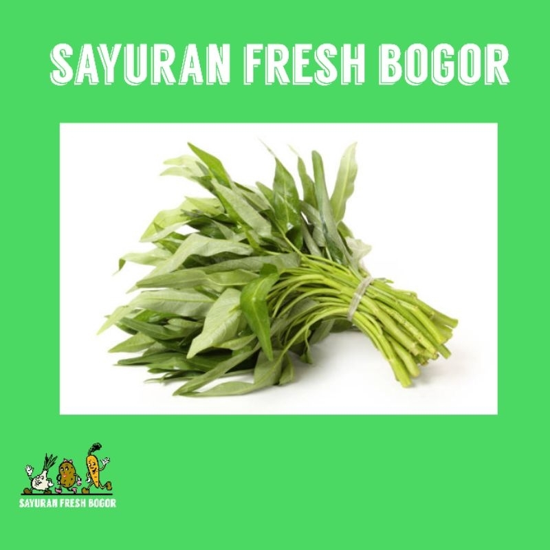 

Kangkung Tanpa Akar ( 1 Ikat ) | Sayuran Fresh Bogor