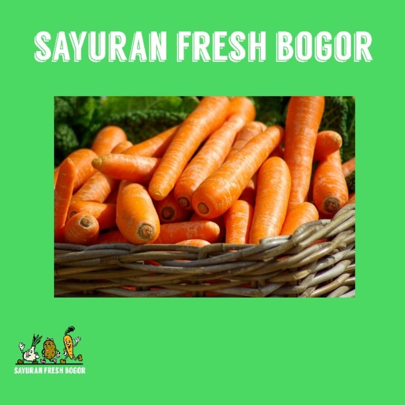 

Wortel Import Brastagi ( 250 Gram ) | Sayuran Fresh Bogor