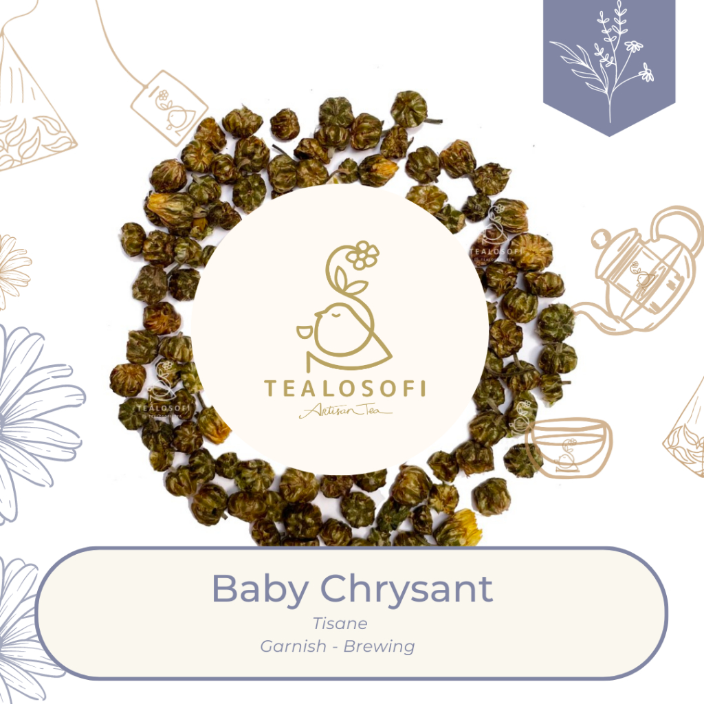 

Baby Chrsanthemum - Herbal Flower Tisane Tea - Teh Bunga Chrsant Krisan Chrysan