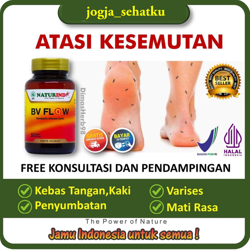 Obat Kesemutan Kebas Kram Varises Pelancar Peredaran Darah BV Flow NATURINDO