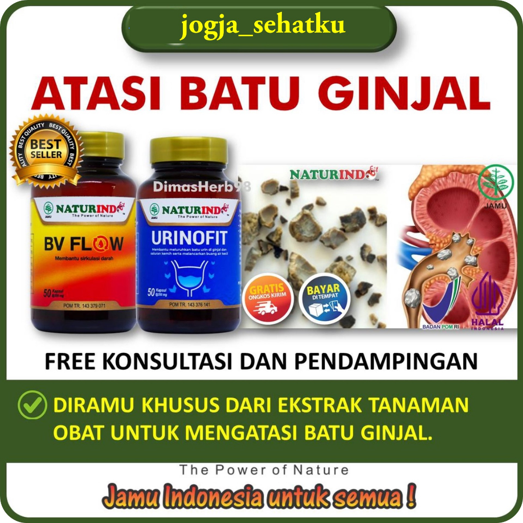Infeksi Ginjal Batu Ginjal Obat Pelancar Saluran Kemih Susah Buang Air Kecil URINOFIT naturindo