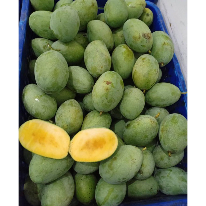 

MANGGA MANALAGI MANIS MADU 1Kg