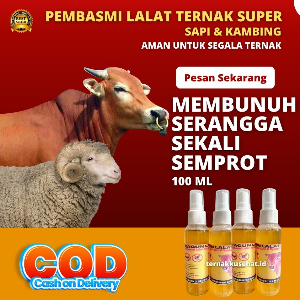 Obat lalat sapi pembasmi kutu lalat dan nyamuk | RACUN LALAT SAPI | OBAT MENGATASI LALAT SAPI ATASI 