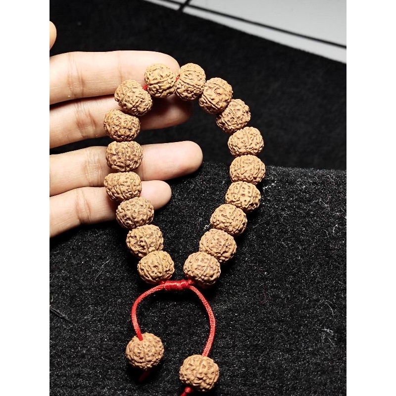 gelang rudraksha mukhi 7 size 13_16mm