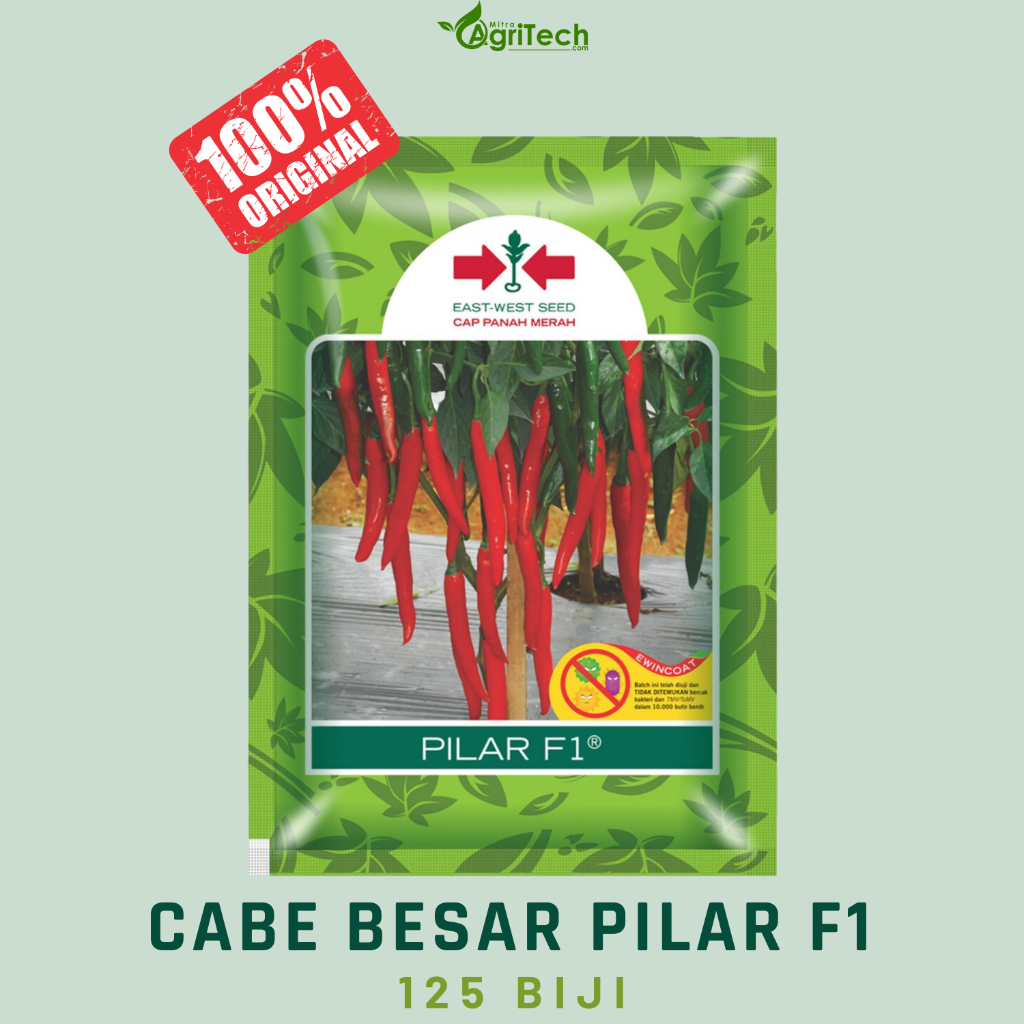 BENIH BIBIT CABE BESAR PILAR F1 ISI 125 BIJI - CAP PANAH MERAH
