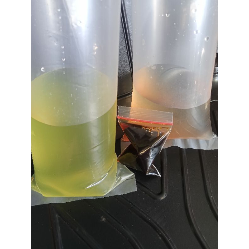Green Water Kutu Air Starter
