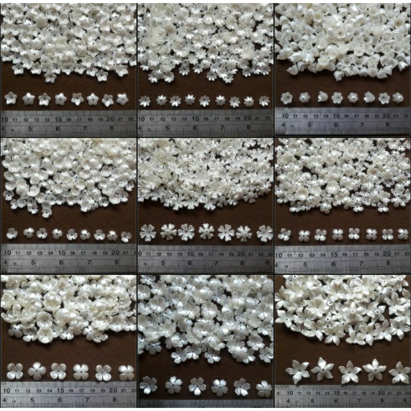 Mote kelopak BW 1 pon