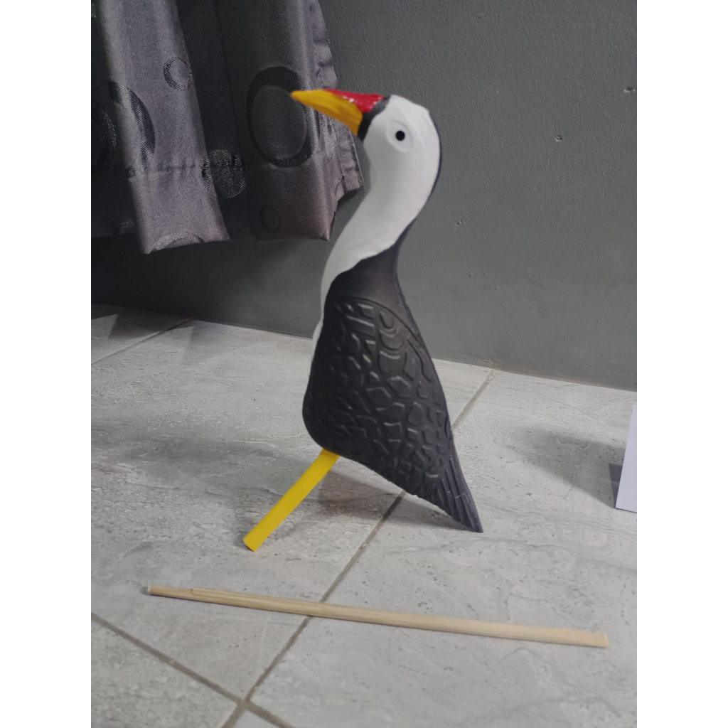 JONTROT KAREO PEMIKAT BURUNG KAREO PARUH KUNING
