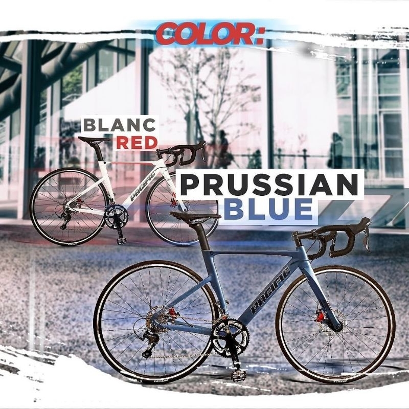 Roadbike pacific paradox Rs Russian blue