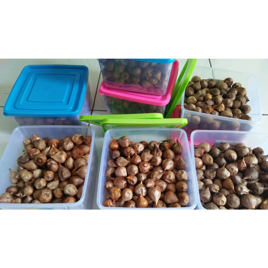 Bawang Hitam Tunggal Dahzat Kemasan 500 gr | Bawang Hitam | Bawang Hitam Lanang