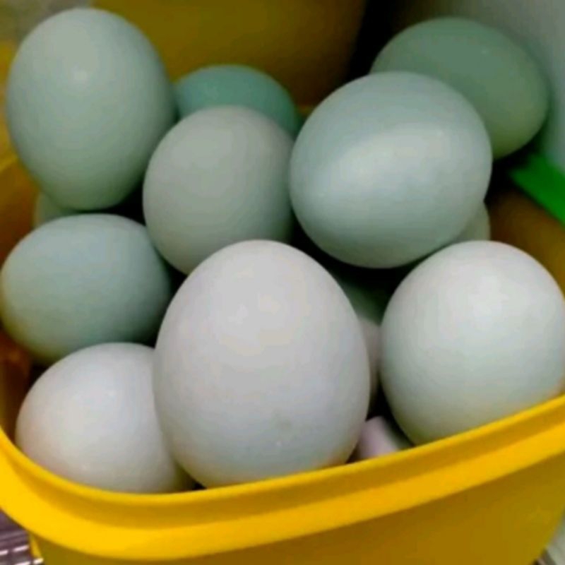 

telur asin matang