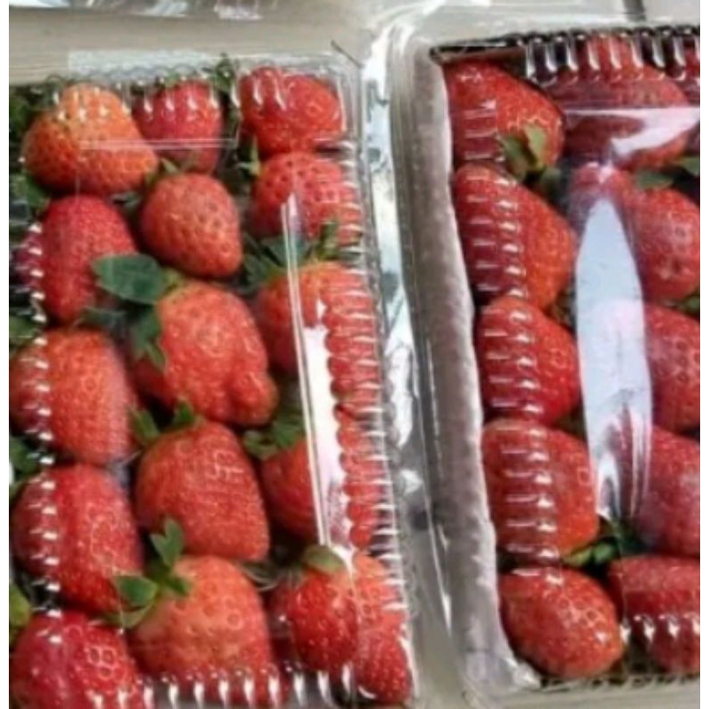 

STRAWBERRY FRESH ( HARGA 1 PAK )