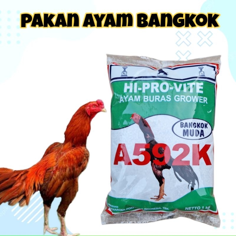 A592K Pakan Ayam Bangkok Muda - Voer/Pur Ayam Aduan - Pakan Ayam Aduan